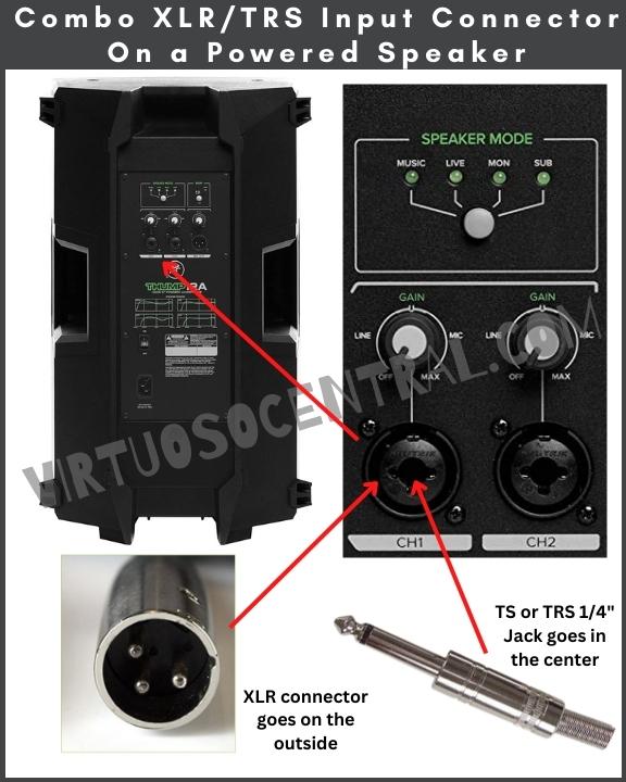 Image showing a combo XLR/TRS Input Connector On a Powered Speaker